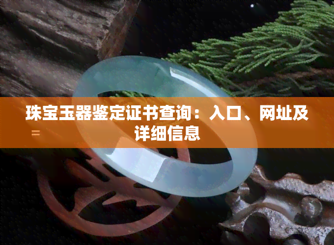 珠宝玉器鉴定证书查询：入口、网址及详细信息