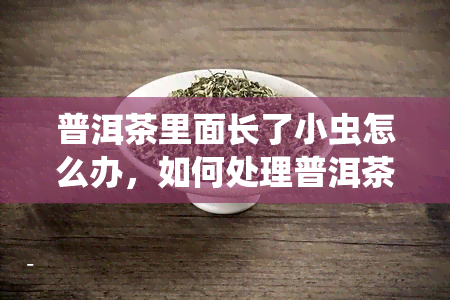 普洱茶里面长了小虫怎么办，如何处理普洱茶中出现的小虫问题？