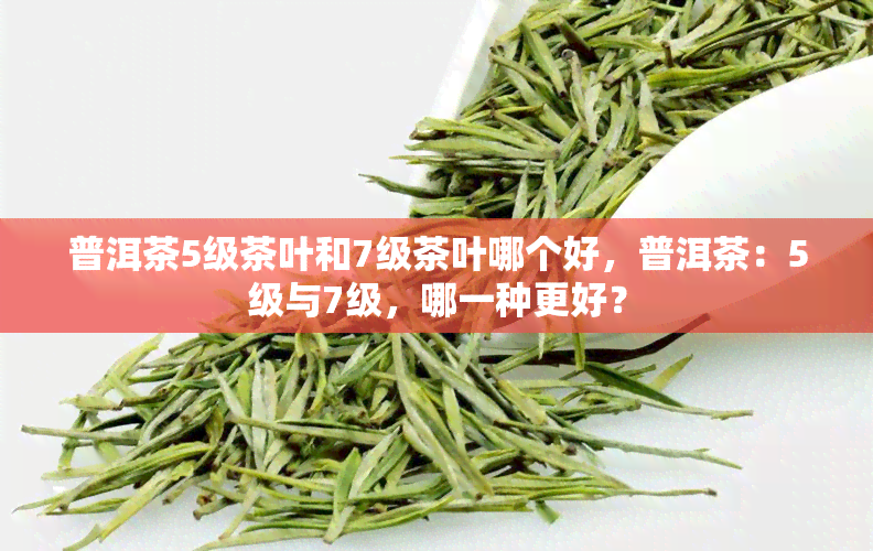 普洱茶5级茶叶和7级茶叶哪个好，普洱茶：5级与7级，哪一种更好？