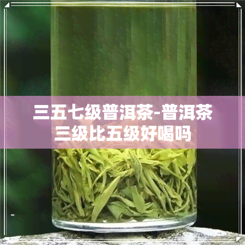 三五七级普洱茶-普洱茶三级比五级好喝吗