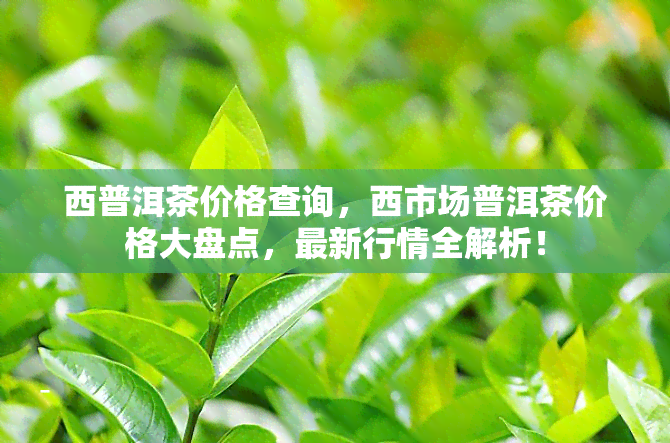 西普洱茶价格查询，西市场普洱茶价格大盘点，最新行情全解析！