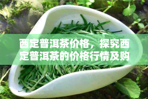 西定普洱茶价格，探究西定普洱茶的价格行情及购买建议