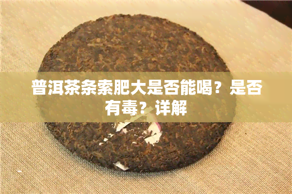 普洱茶条索肥大是否能喝？是否有？详解