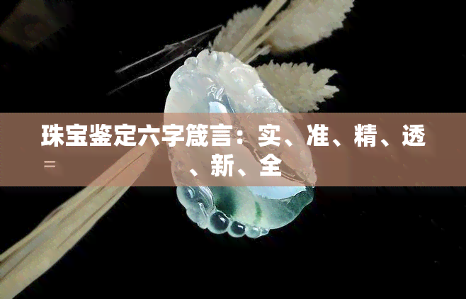 珠宝鉴定六字箴言：实、准、精、透、新、全