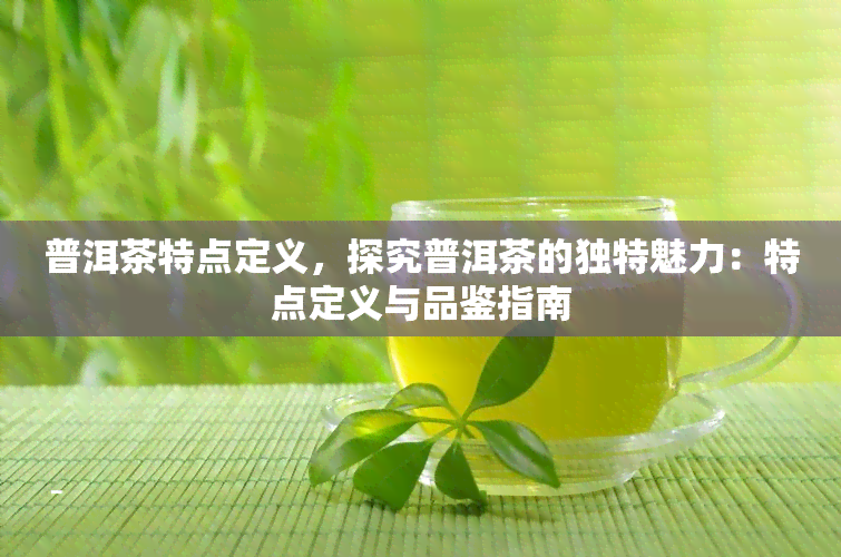 普洱茶特点定义，探究普洱茶的独特魅力：特点定义与品鉴指南