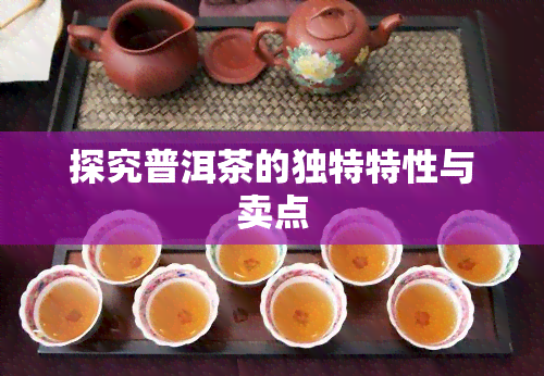 探究普洱茶的独特特性与卖点