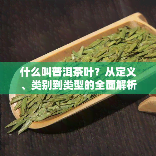 什么叫普洱茶叶？从定义、类别到类型的全面解析