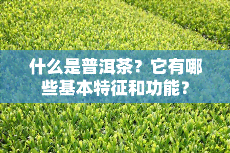 什么是普洱茶？它有哪些基本特征和功能？