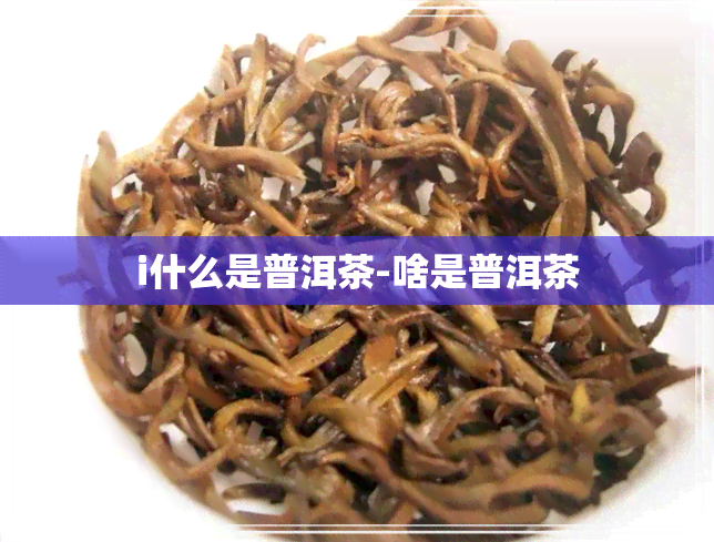 i什么是普洱茶-啥是普洱茶