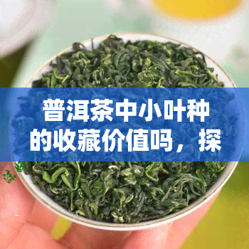 普洱茶中小叶种的收藏价值吗，探讨普洱茶中小叶种的收藏价值