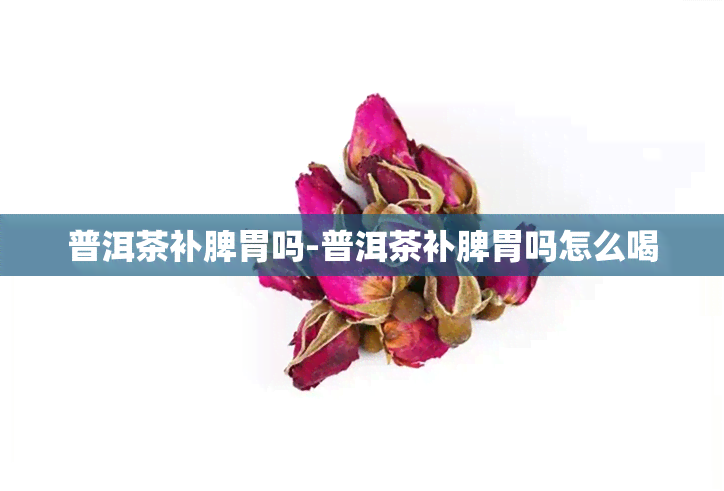 普洱茶补脾胃吗-普洱茶补脾胃吗怎么喝