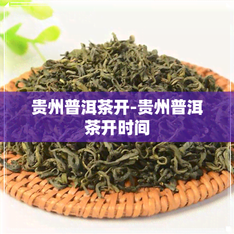 贵州普洱茶开-贵州普洱茶开时间