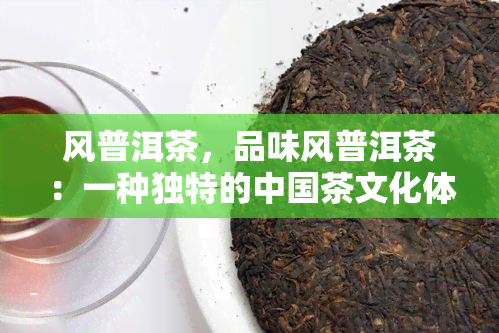 风普洱茶，品味风普洱茶：一种独特的中国茶文化体验