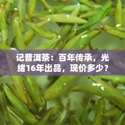 记普洱茶：百年传承，光绪16年出品，现价多少？