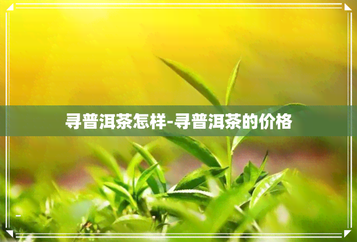 寻普洱茶怎样-寻普洱茶的价格