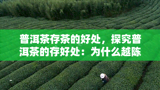 普洱茶存茶的好处，探究普洱茶的存好处：为什么越陈越香？