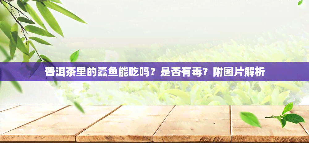 普洱茶里的蠹能吃吗？是否有？附图片解析