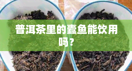 普洱茶里的蠹能饮用吗？