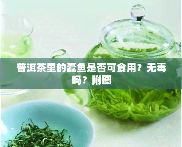 普洱茶里的蠹是否可食用？无吗？附图