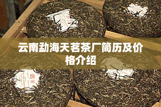 云南勐海天茗茶厂简历及价格介绍