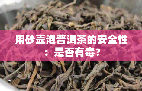 用砂壶泡普洱茶的安全性：是否有？