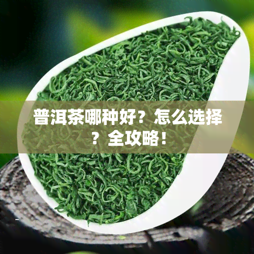 普洱茶哪种好？怎么选择？全攻略！