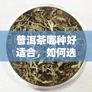 普洱茶哪种好适合，如何选择适合自己口味的普洱茶？