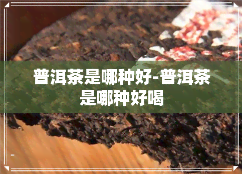 普洱茶是哪种好-普洱茶是哪种好喝