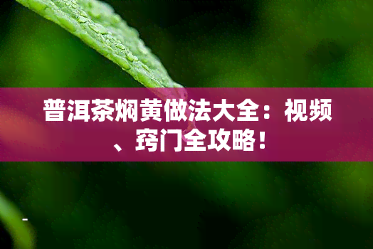 普洱茶焖黄做法大全：视频、窍门全攻略！