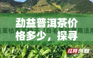 勐益普洱茶价格多少，探寻勐益普洱茶的真实价值：市场价格解析