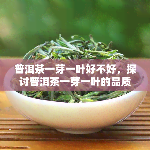 普洱茶一芽一叶好不好，探讨普洱茶一芽一叶的品质与口感