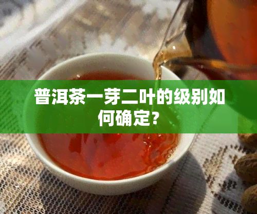 普洱茶一芽二叶的级别如何确定？