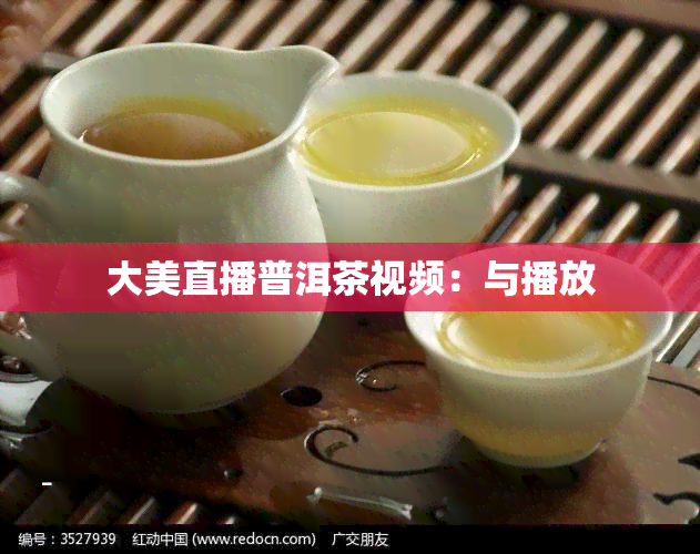 大美直播普洱茶视频：与播放