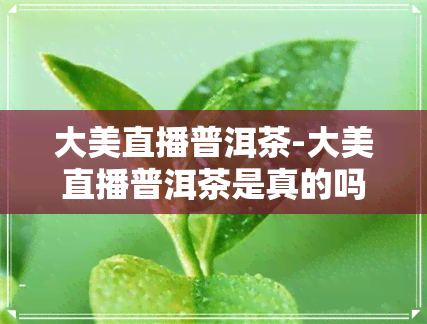 大美直播普洱茶-大美直播普洱茶是真的吗