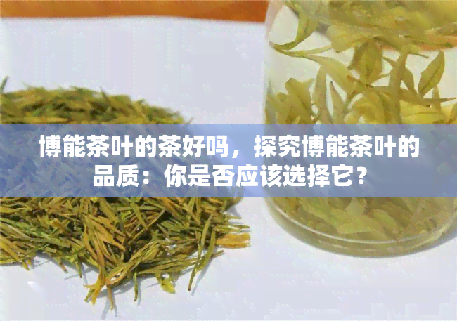 博能茶叶的茶好吗，探究博能茶叶的品质：你是否应该选择它？