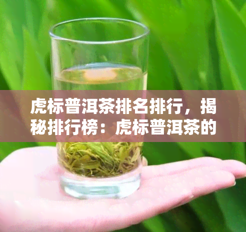 虎标普洱茶排名排行，揭秘排行榜：虎标普洱茶的口感与品质究竟如何？