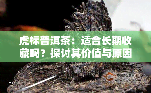 虎标普洱茶：适合长期收藏吗？探讨其价值与原因