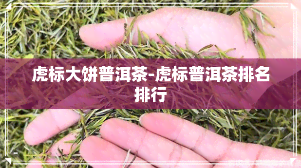 虎标大饼普洱茶-虎标普洱茶排名排行