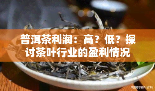 普洱茶利润：高？低？探讨茶叶行业的盈利情况