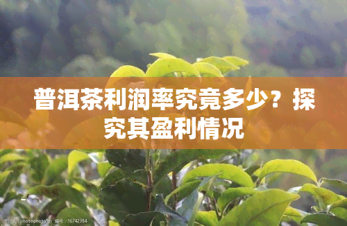 普洱茶利润率究竟多少？探究其盈利情况