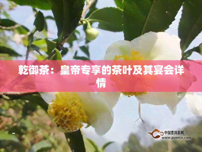 乾御茶：皇帝专享的茶叶及其宴会详情