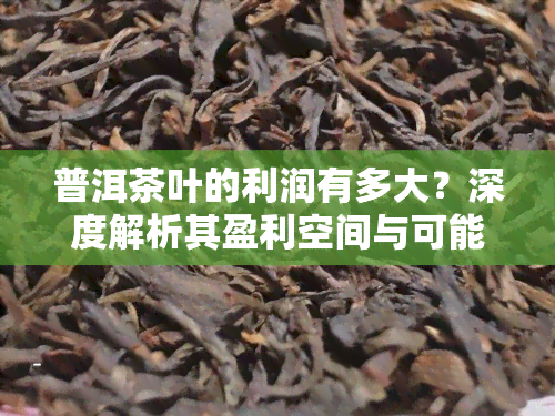 普洱茶叶的利润有多大？深度解析其盈利空间与可能性