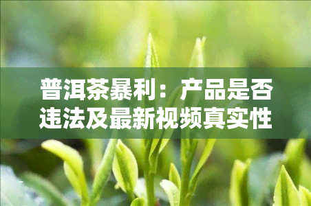 普洱茶暴利：产品是否违法及最新视频真实性探讨