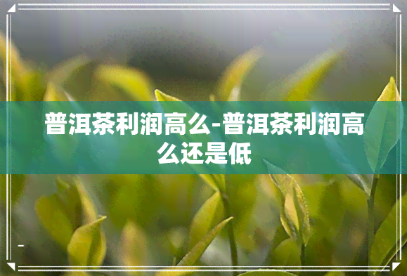 普洱茶利润高么-普洱茶利润高么还是低