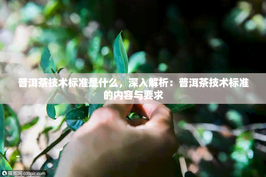 普洱茶技术标准是什么，深入解析：普洱茶技术标准的内容与要求