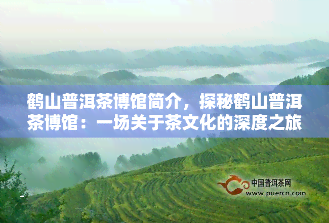 鹤山普洱茶博馆简介，探秘鹤山普洱茶博馆：一场关于茶文化的深度之旅