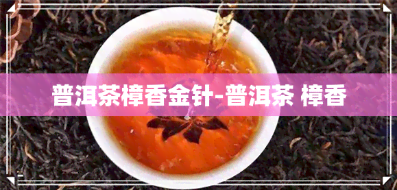 普洱茶樟香金针-普洱茶 樟香