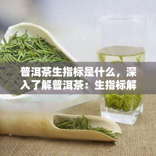 普洱茶生指标是什么，深入了解普洱茶：生指标解析