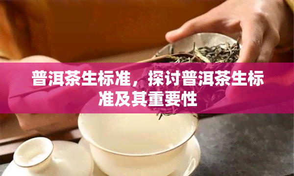 普洱茶生标准，探讨普洱茶生标准及其重要性