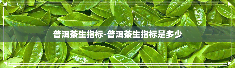 普洱茶生指标-普洱茶生指标是多少